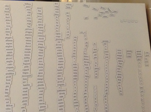 I particularly enjoyed classifying All The Words...well, nearly all!